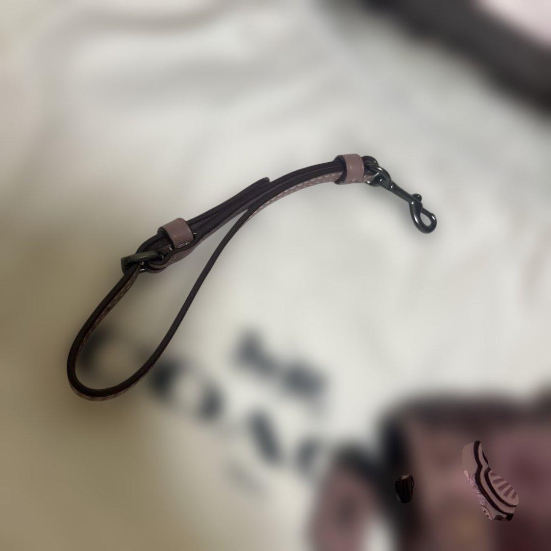 極美品✨ コーチ COACH ティーローズ クラッチ ショルダー 限定モデル