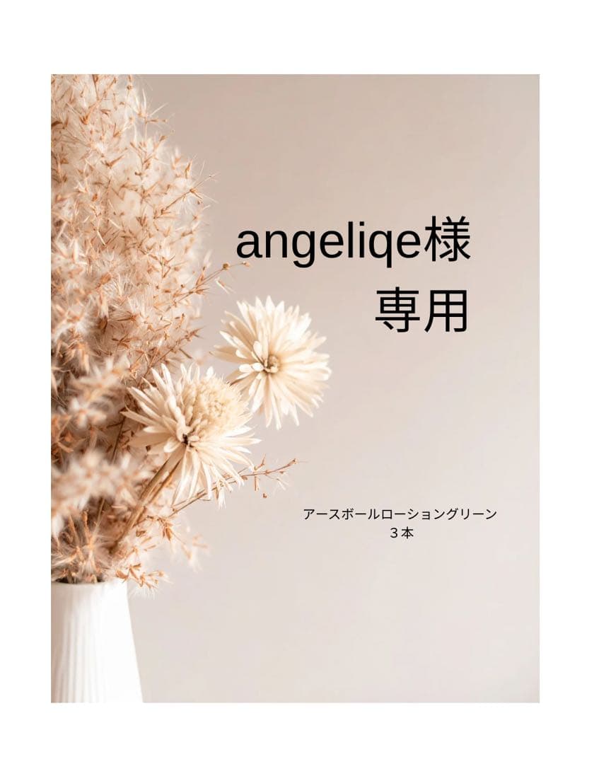 angeliqe様★アースボールローション3本