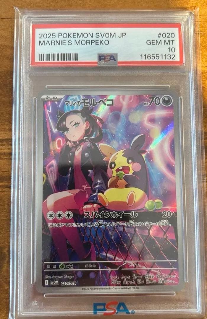 マリィのモルペコ SVOM スターターセットex ※説明了承された方購入可