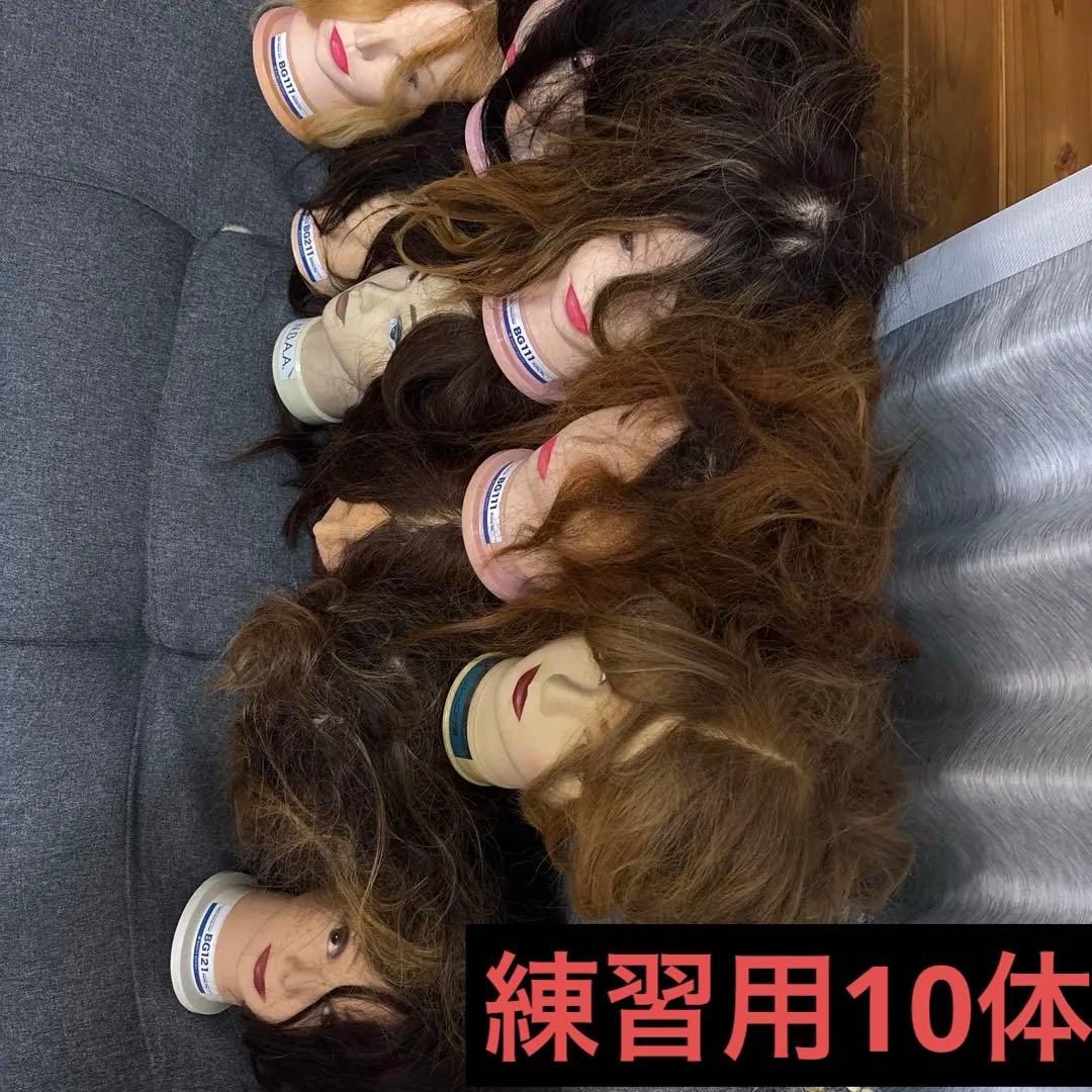 人毛100% カットウィッグ10頭　BG111、N.B.A.A