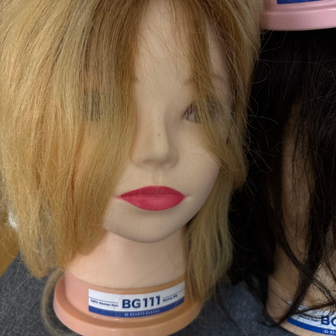 人毛100% カットウィッグ10頭　BG111、N.B.A.A