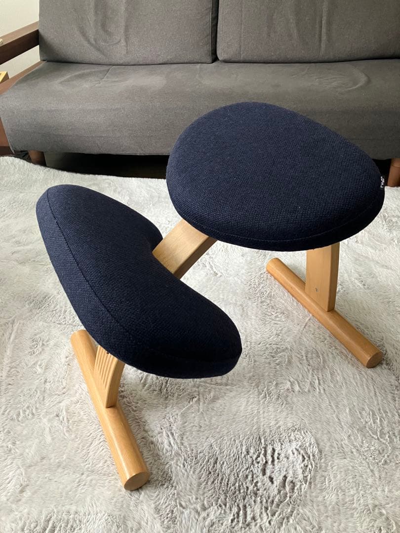 通販生活　バランスチェア（猫背対策椅子）とカバーのセット