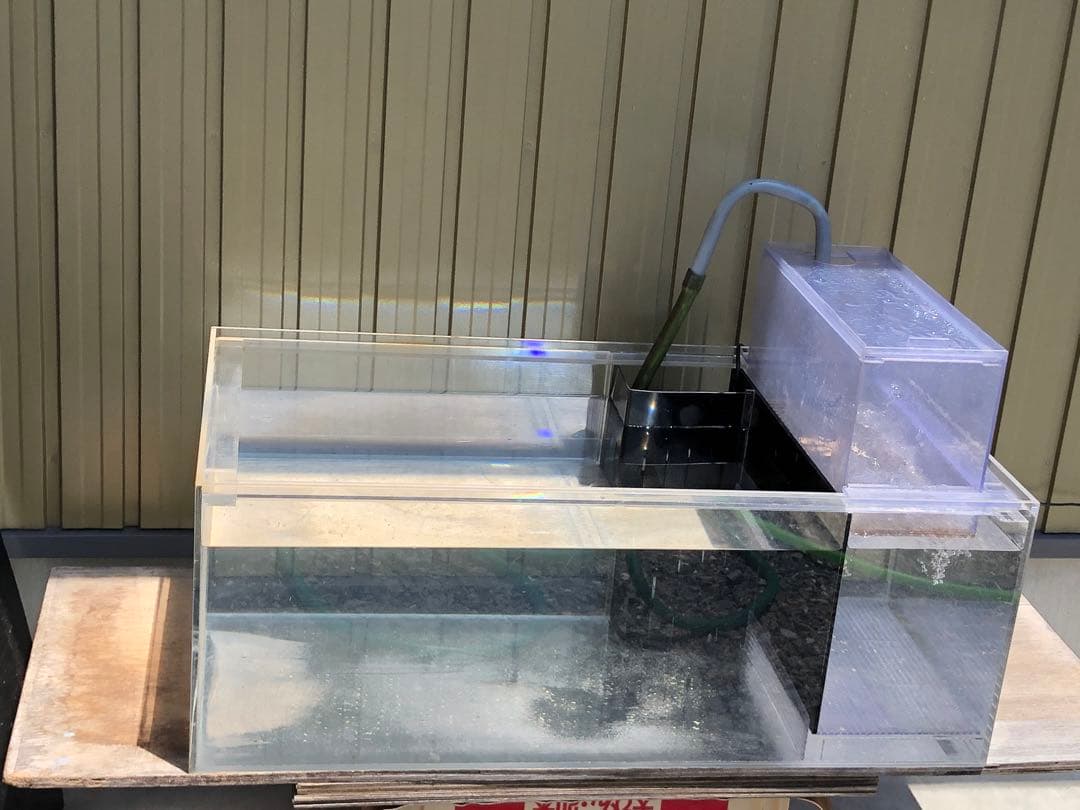 キ*シ様 サイド濾過槽付き水槽