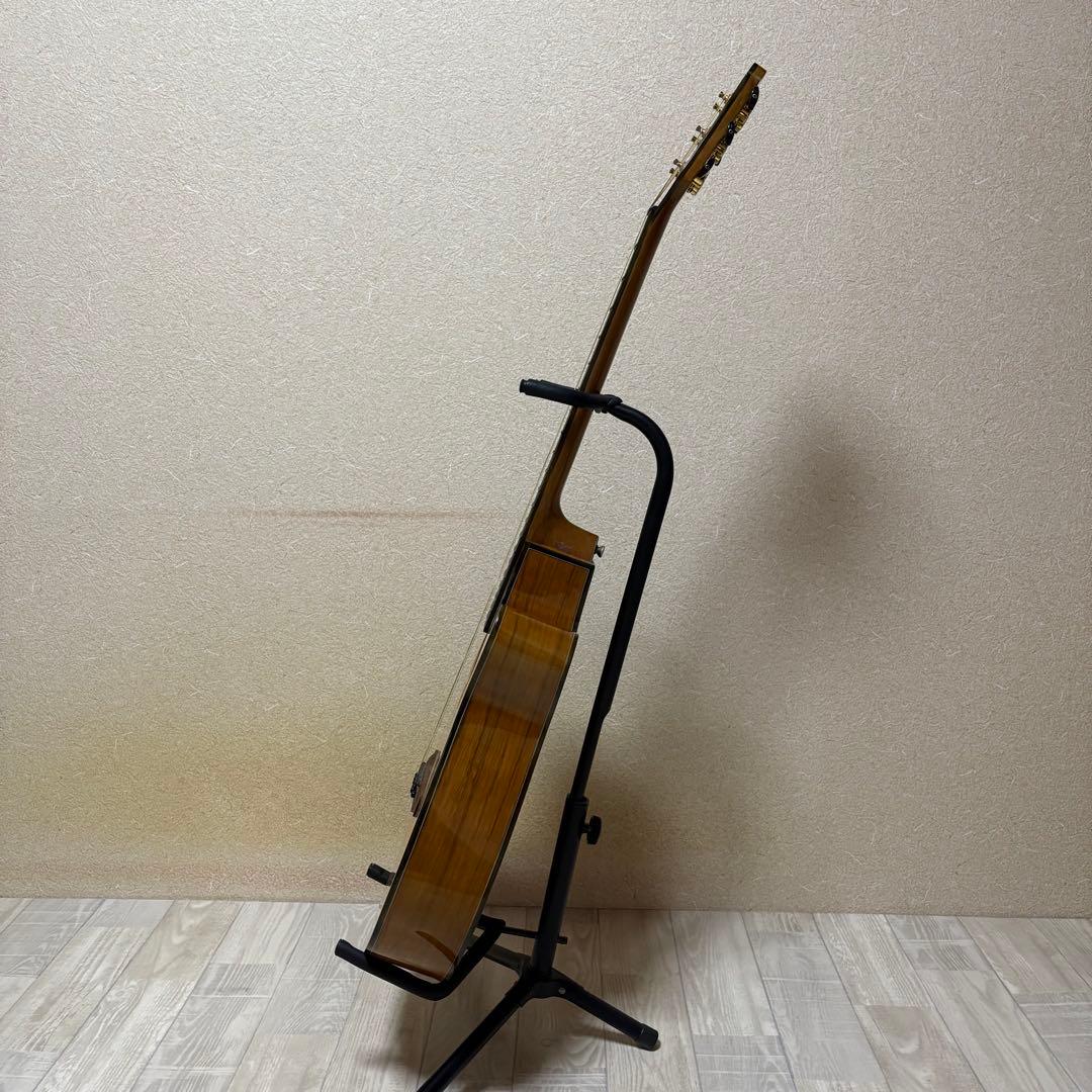 Aria TG-1N アコースティックギター 弦交換済み ソフトケース付き