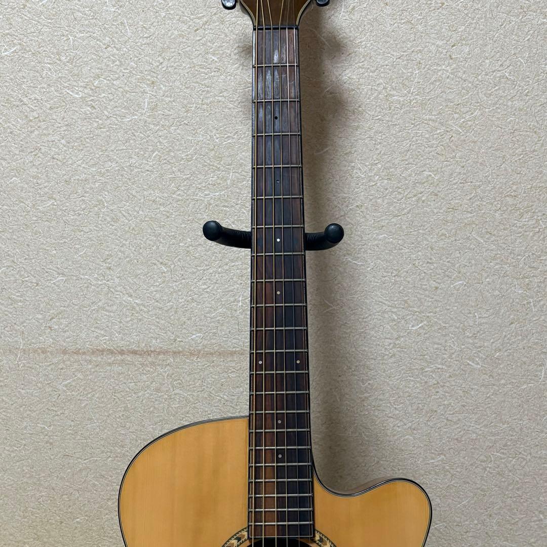 Aria TG-1N アコースティックギター 弦交換済み ソフトケース付き