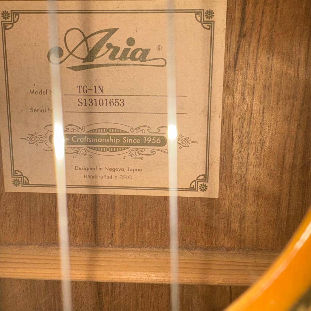 Aria TG-1N アコースティックギター 弦交換済み ソフトケース付き