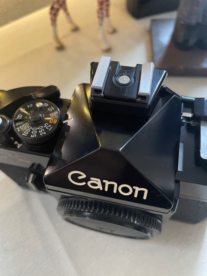 Canon f-1 前期型＋Canon NewFD 50mm F1.4