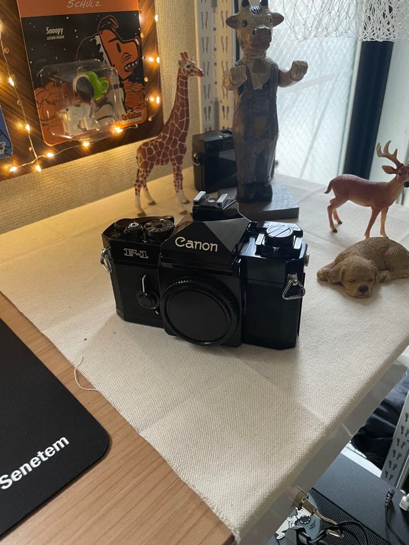 Canon f-1 前期型＋Canon NewFD 50mm F1.4