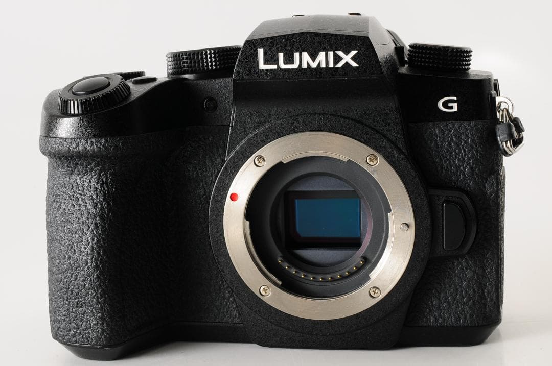 【美品 元箱付き】 パナソニック Panasonic LUMIX DC-G99