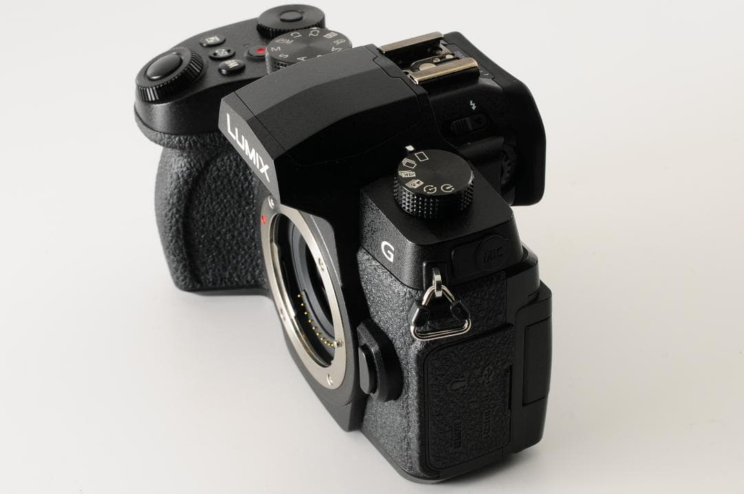 【美品 元箱付き】 パナソニック Panasonic LUMIX DC-G99