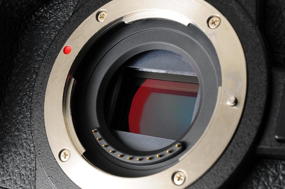 【美品 元箱付き】 パナソニック Panasonic LUMIX DC-G99