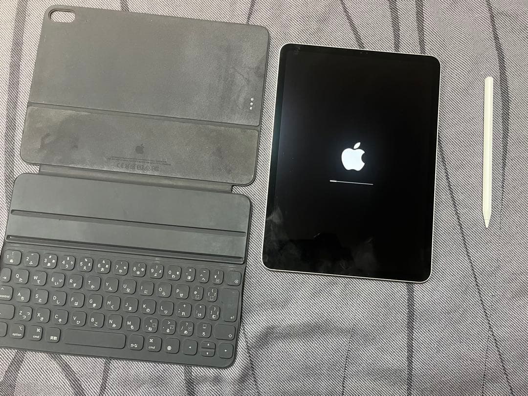 iPad Pro 11インチ第一世代 Apple Pencil ケース付き