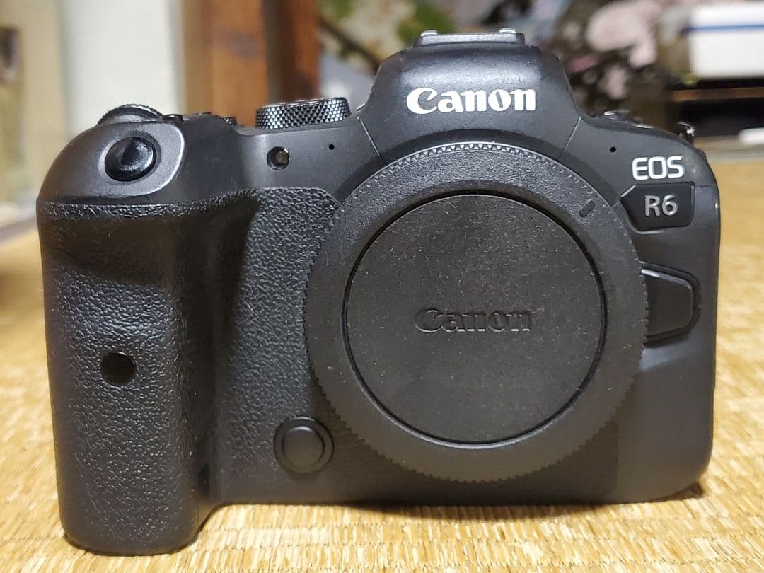 Canon EOS R6 ボディ本体 中古品 LP-E6NH 2個