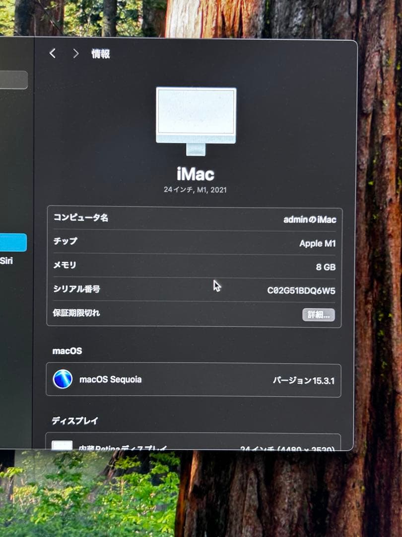 iMac 24インチ M1 2021年 8GB/256GB グリーン 4ポート