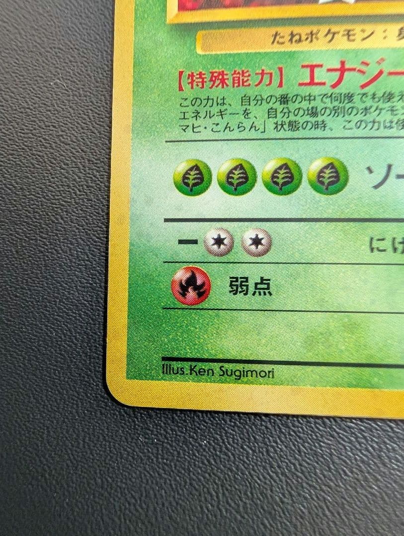 フシギバナ イントロパック 旧裏