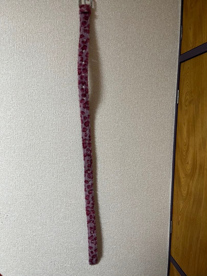 AFB レオパードベルド