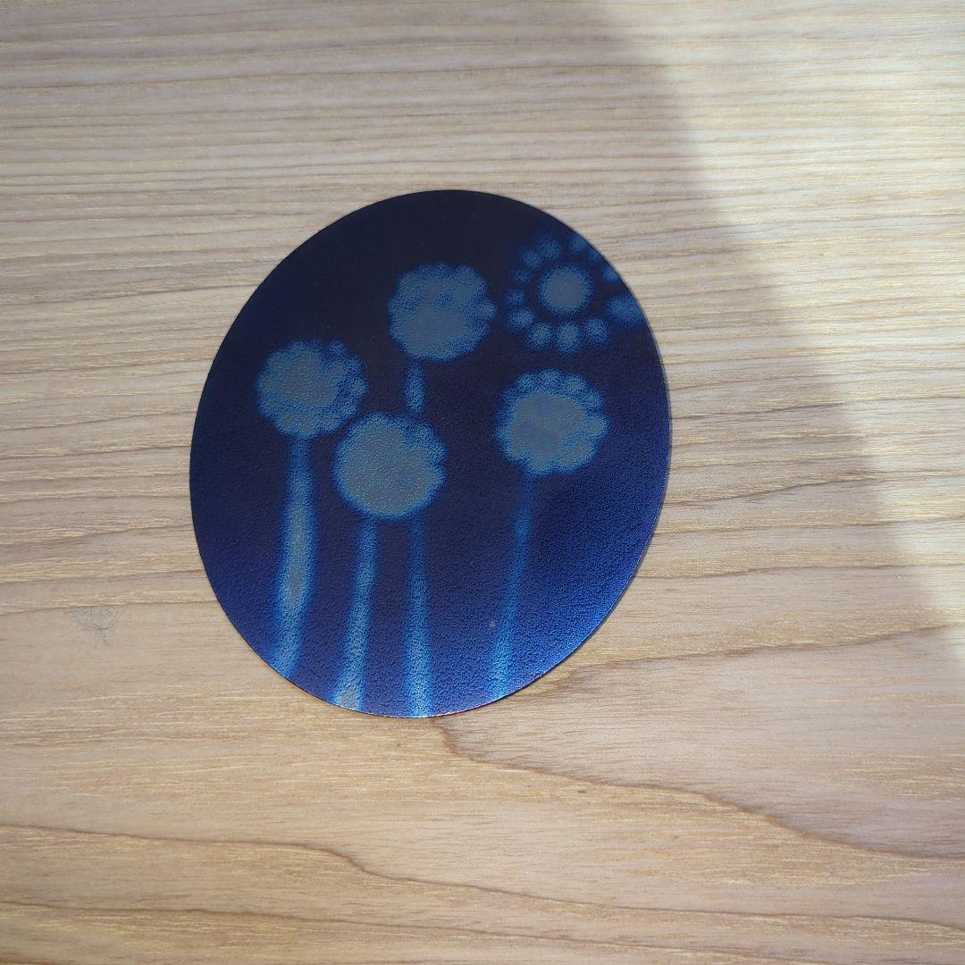 テスラ 施術者用プレート 大　5G　電磁波対策　ニコラ・テスラ