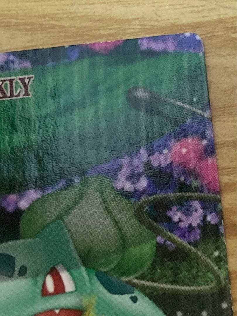 ポケモンウィークリー　フシギダネ