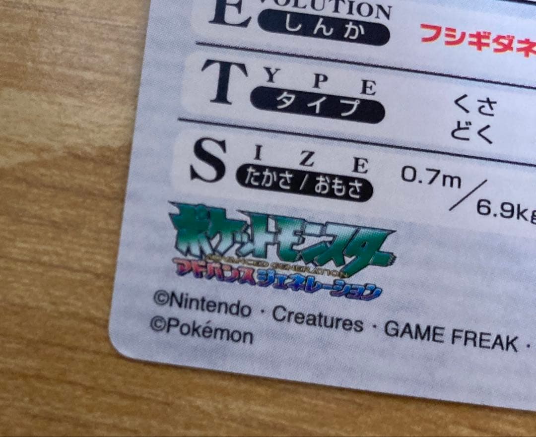 ポケモンウィークリー　フシギダネ