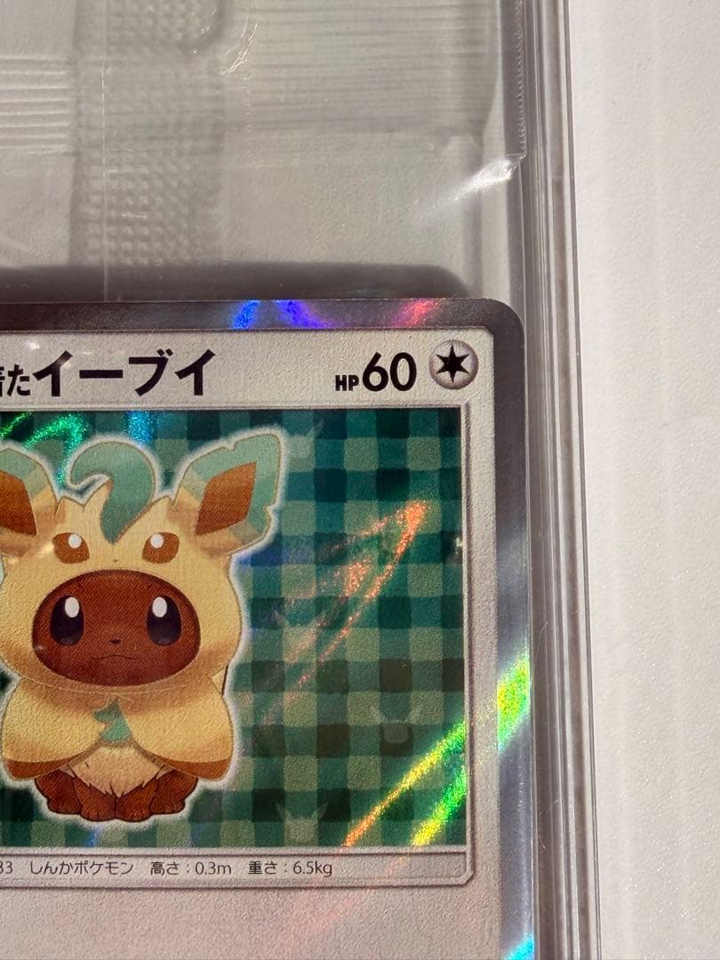 ポンチョを着たイーブイ（リーフィア） プロモ　未開封パック