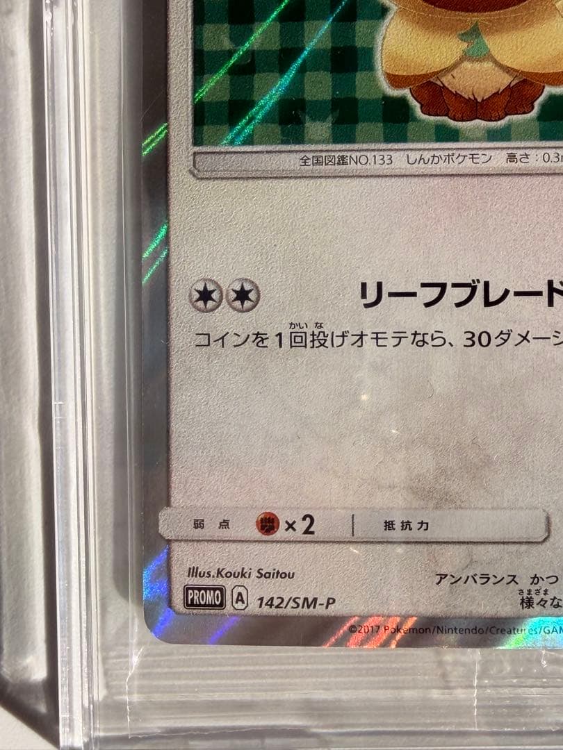 ポンチョを着たイーブイ（リーフィア） プロモ　未開封パック