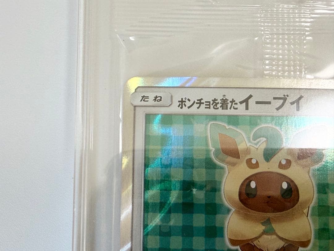 ポンチョを着たイーブイ（リーフィア） プロモ　未開封パック