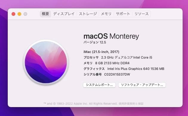 【美品】iMac 21.5インチ SSD256GBすぐ使えます！