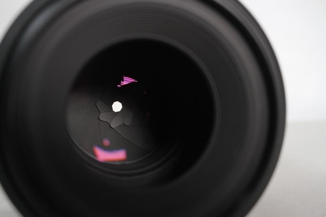 レンズ(単焦点) SMC PENTAX-FA 100mm F2.8 MACRO