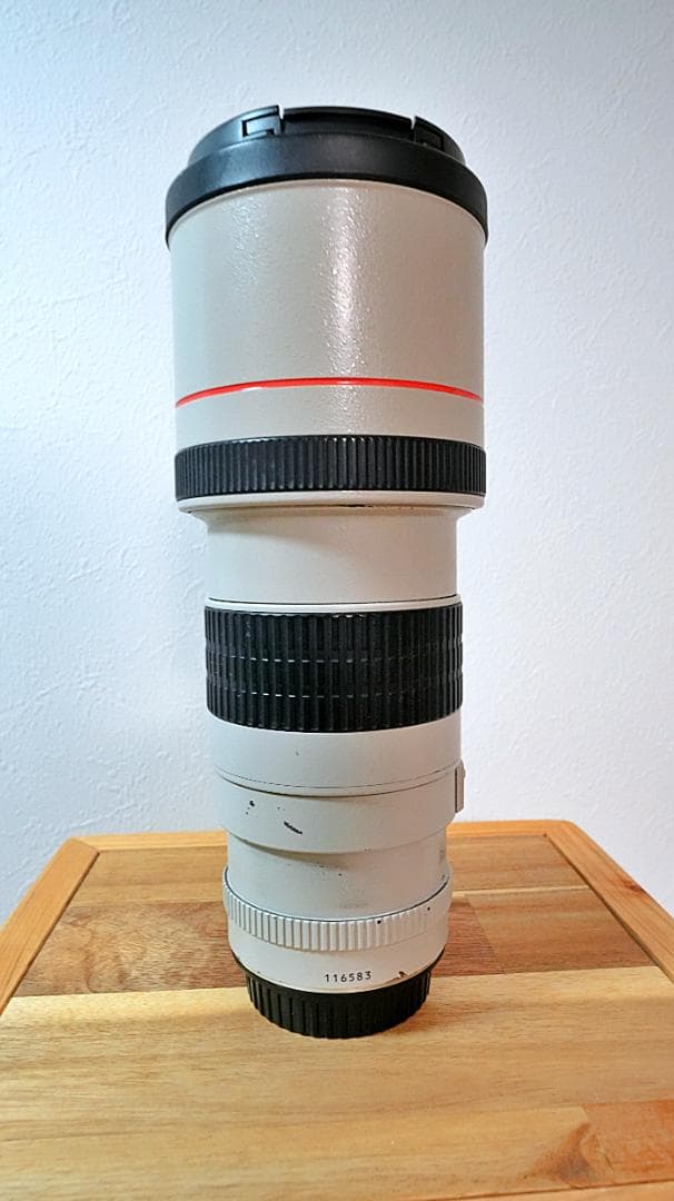 Canon EF 300mm f/4 L USM 単焦点 望遠レンズ