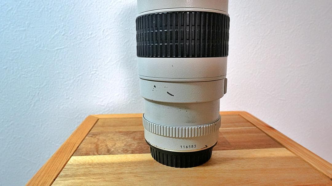 Canon EF 300mm f/4 L USM 単焦点 望遠レンズ