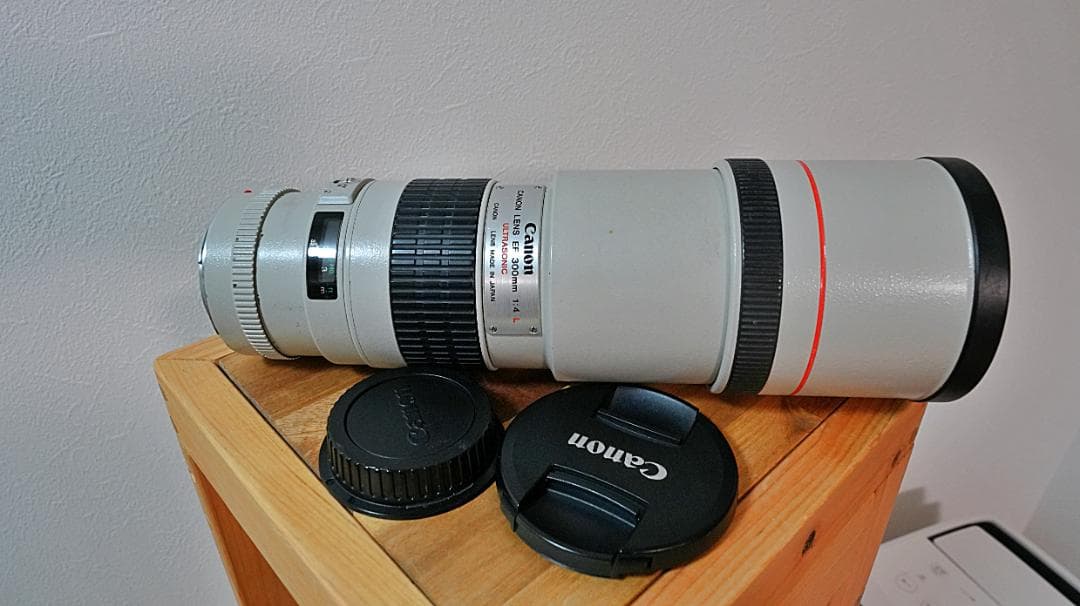 Canon EF 300mm f/4 L USM 単焦点 望遠レンズ