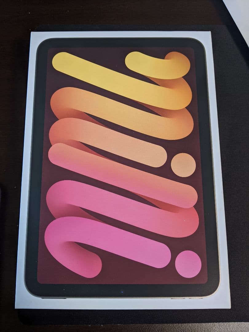 iPad本体 iPad mini a17 pro Cellular