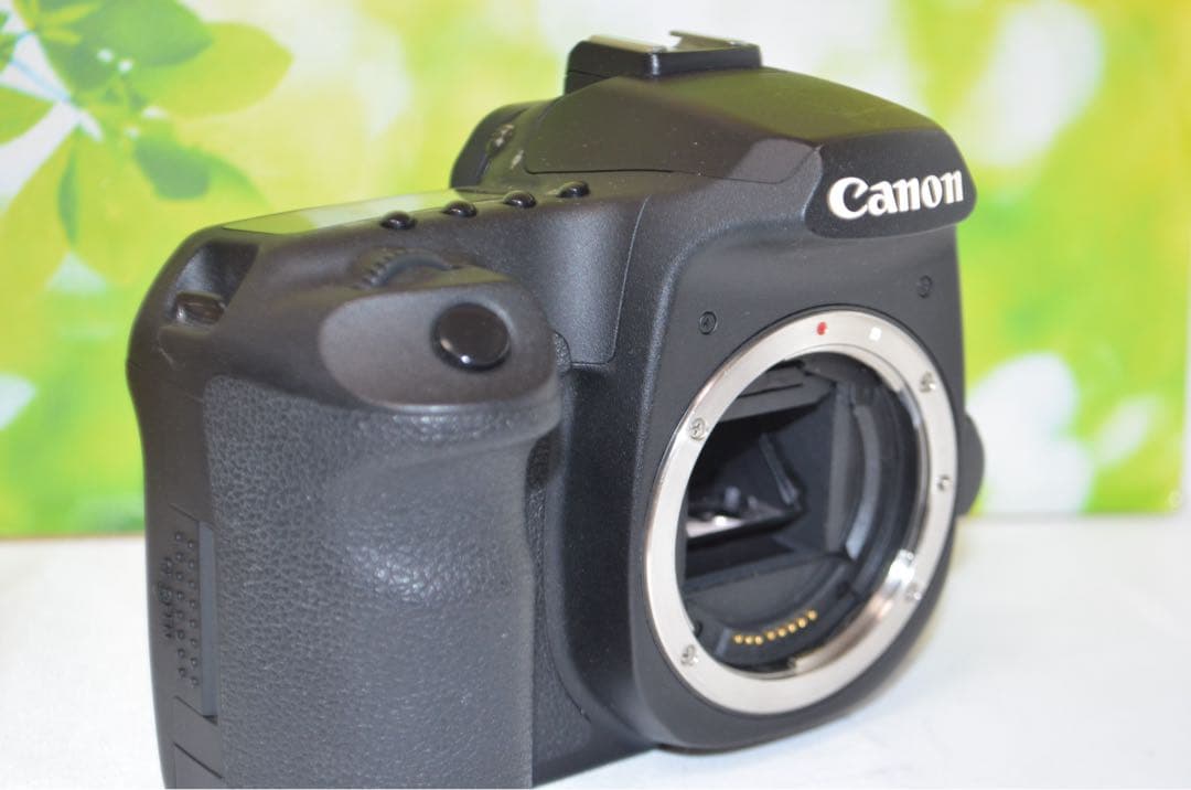 ☆スマホに送れる一眼レフ☆超本格入門☆ キャノン EOS 50Dセット♫