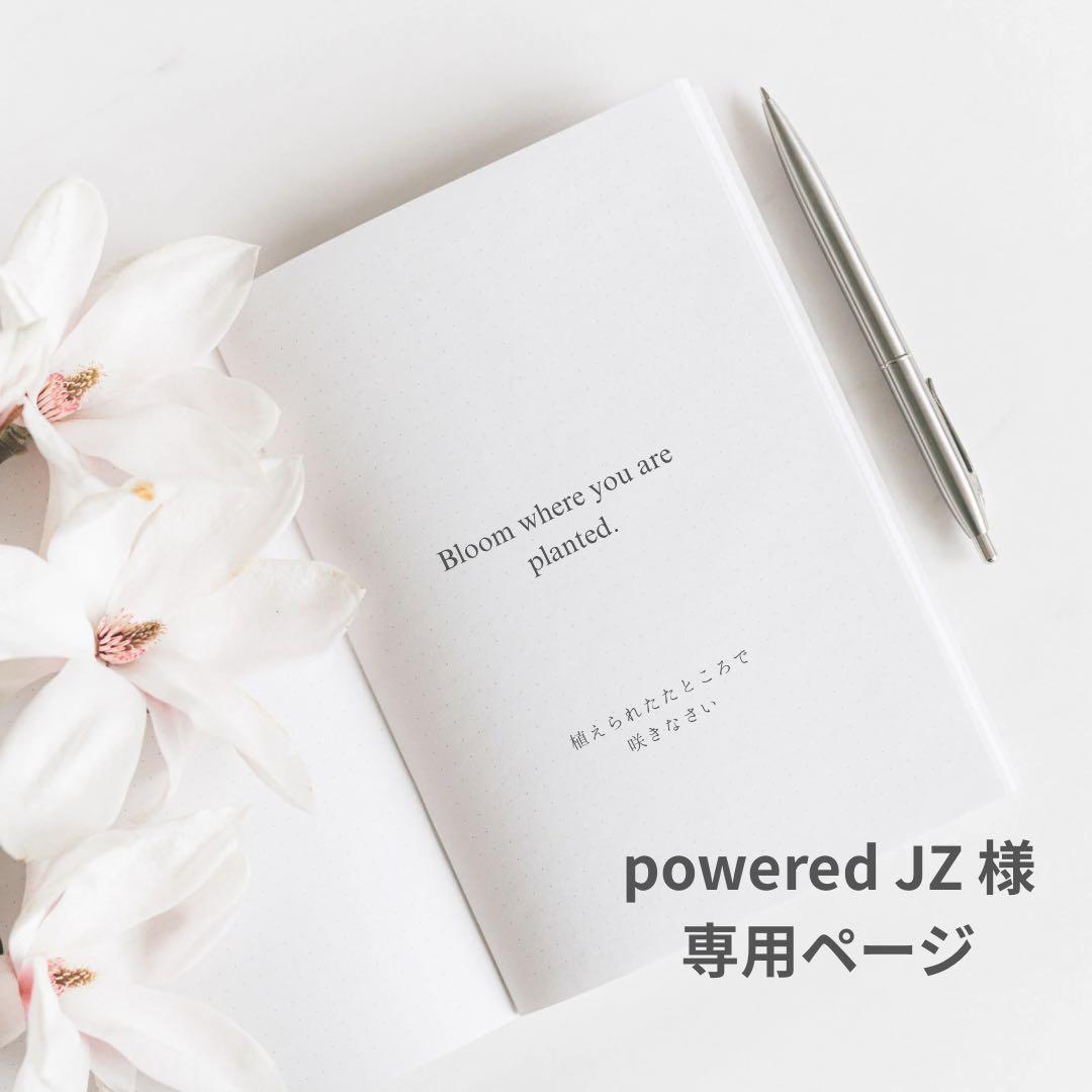 ホームルーター 本体 ACアダプター付き ZTR02