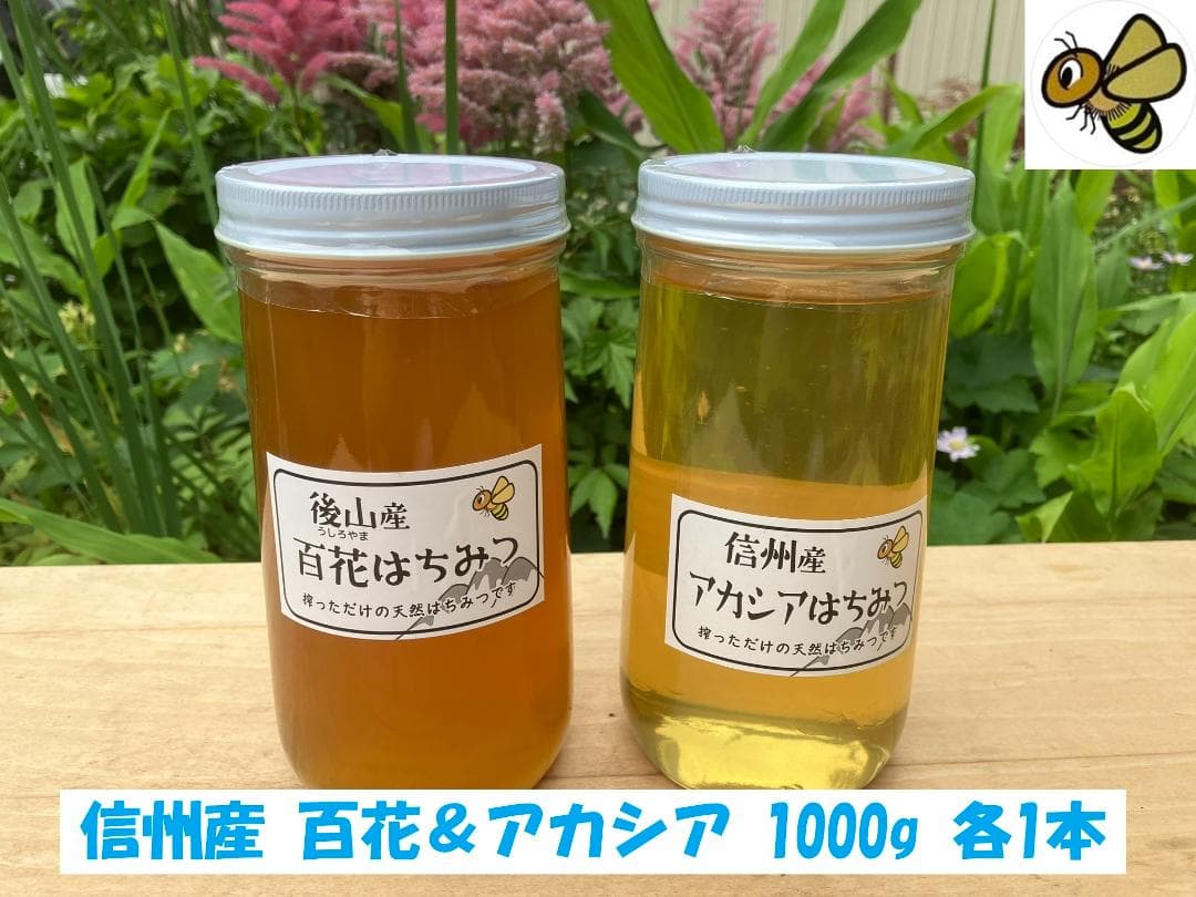 【再】アカシア 百花 1000g 各１本 長野県産 国産蜂蜜 生蜂蜜 西洋蜜蜂
