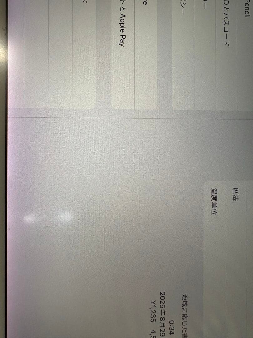 Apple iPad Pro 12.9 インチ　ゴールド　本体