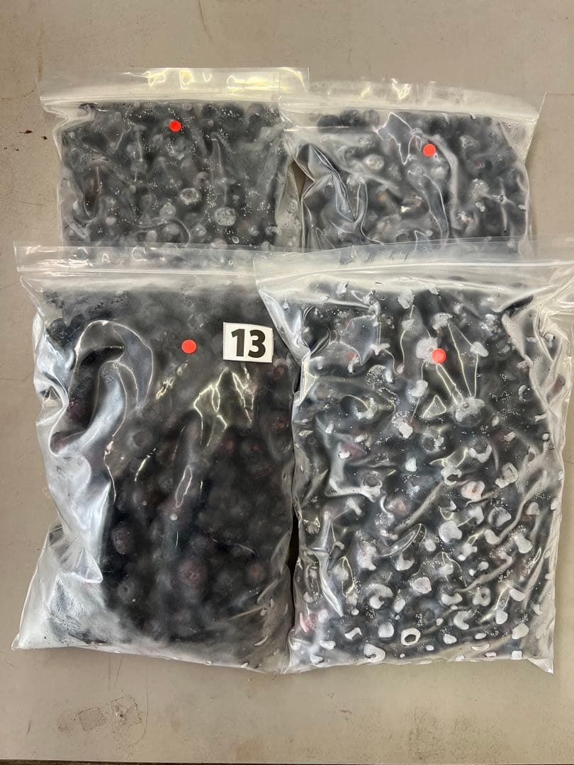 冷凍大粒ブルーベリー4kg