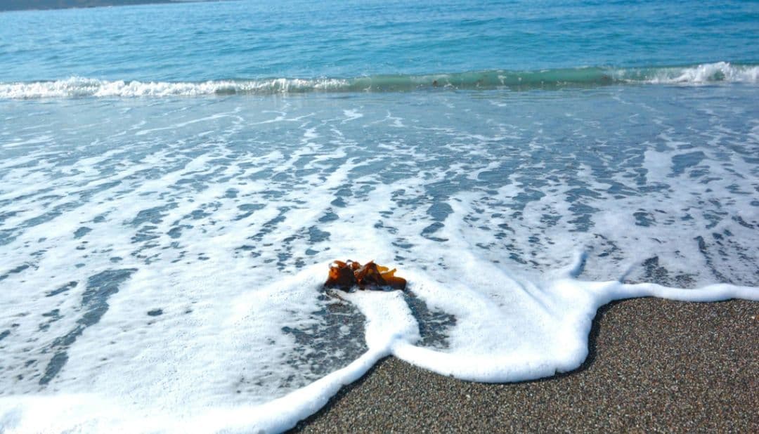 NIKON　D70　広角から超望遠まで⚡️初心者⚡️一眼レフ⚡️ニコン