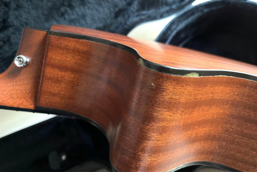 Taylor テイラー 314ce ES1