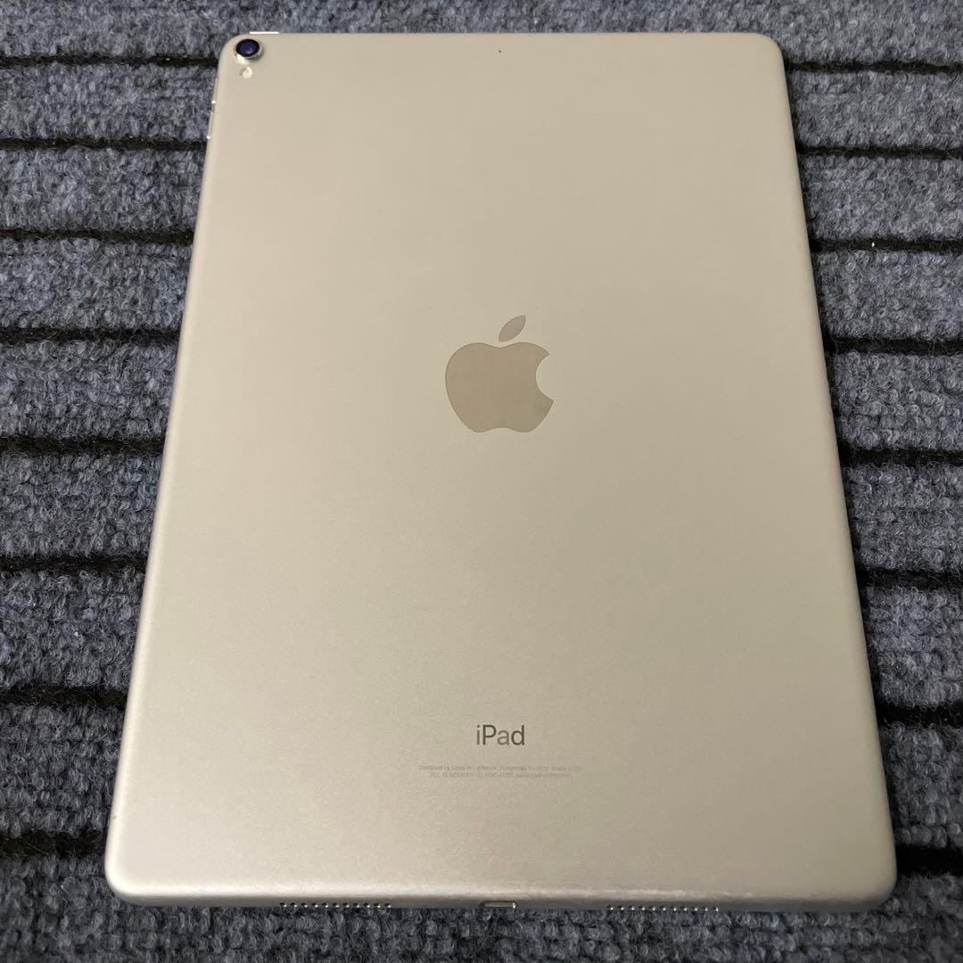 117【早い者勝ち】 iPad Pro 10.5 256GB Wi-Fi