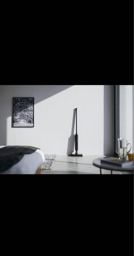 バルミューダ　ザ・クリーナー ライト ホバー式 C02A-BK BLACK 掃除