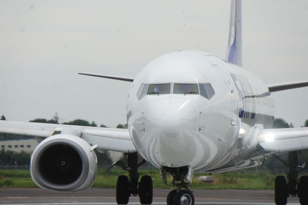 超望遠ズームレンズ SONY Eマウント対応 420-800mm