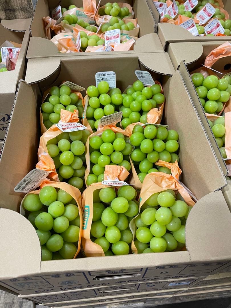 M♡　長野県シャインマスカット秀11房　高級品質