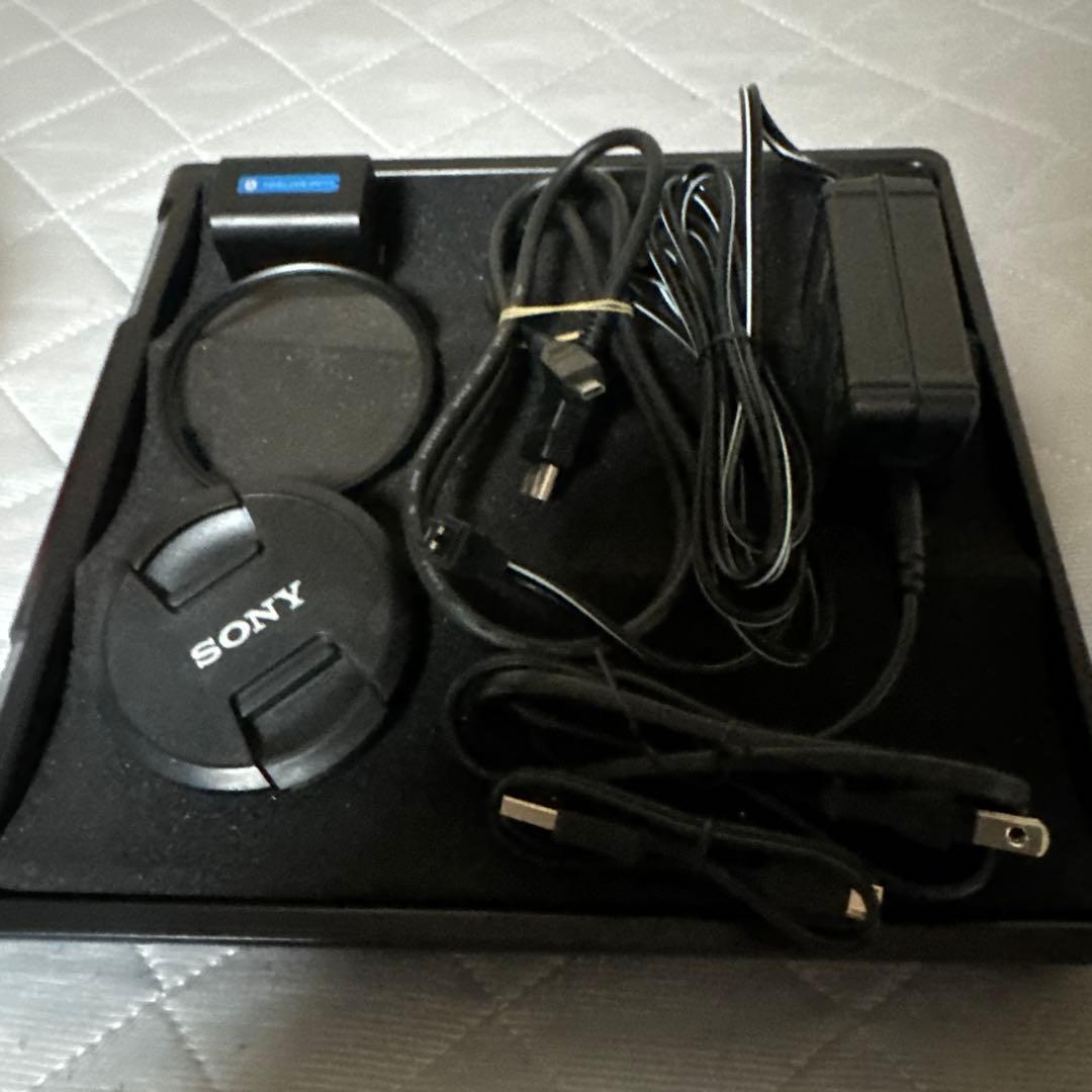 SONY 4K ハンディカム FDR-AX45 本体