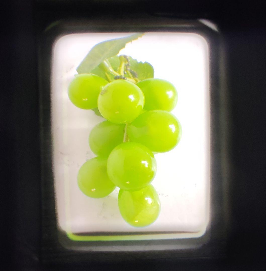 OLYMPUS-PEN EE-3（動作品）