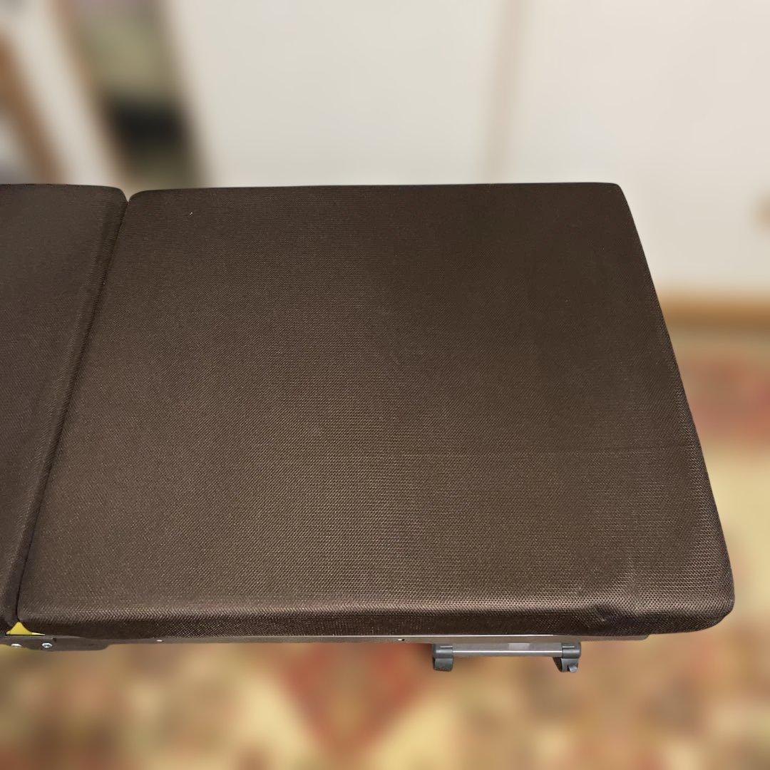 アイリスオーヤマ　折りたたみ電動リクライニングベッド　シングル