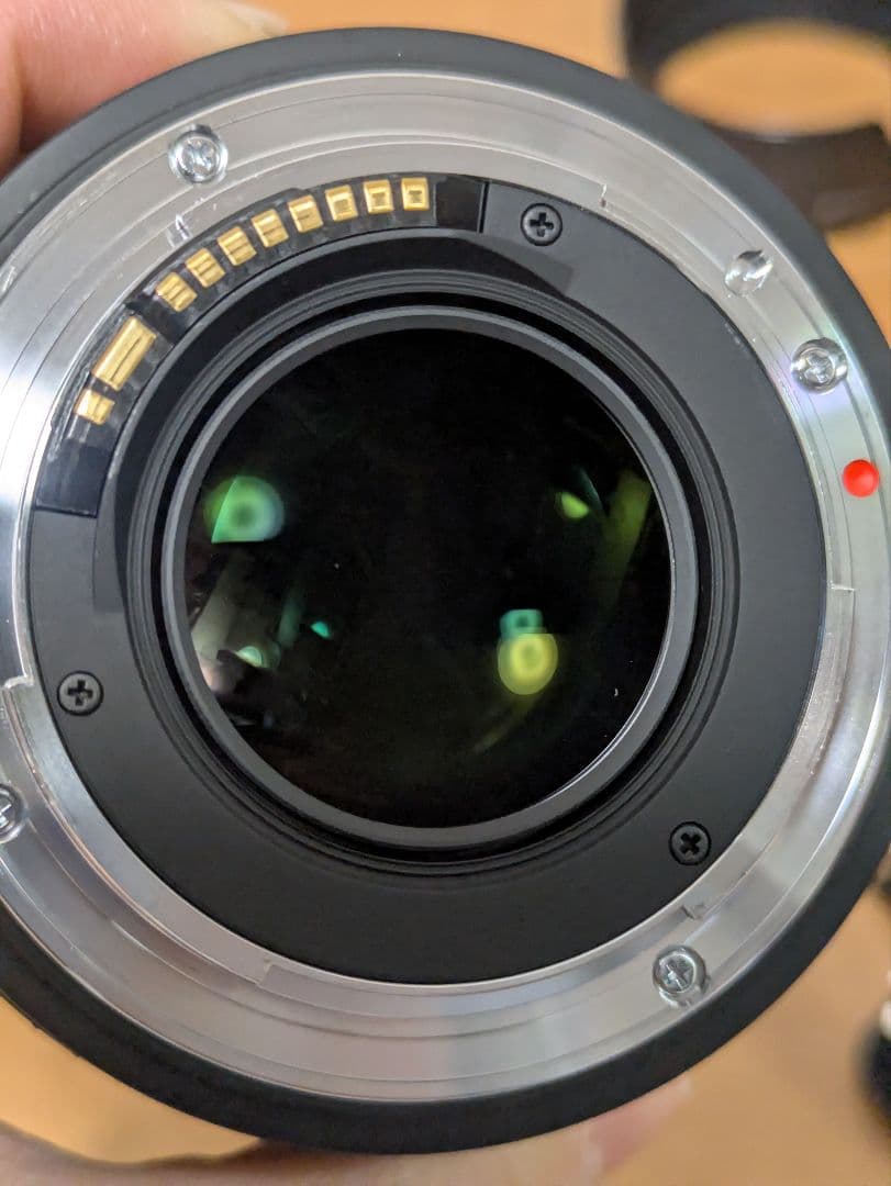 Canon EOS Kiss X9 デジタル一眼レフ+SIGMAレンズ2個