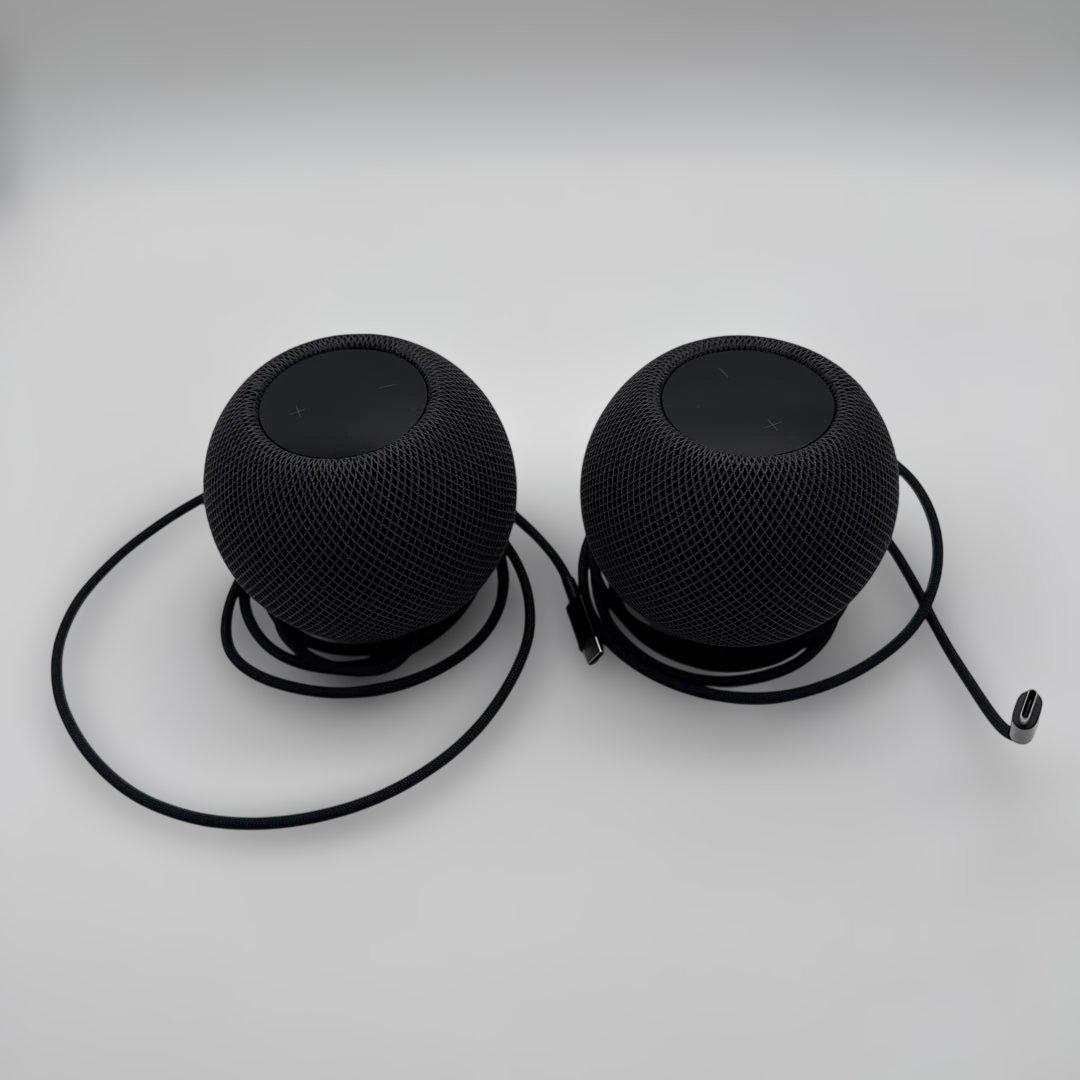 Apple Pod mini 2台セット