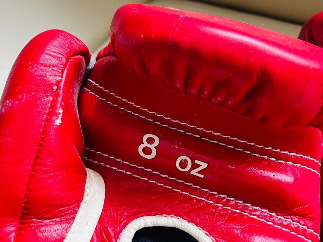 【レア品】Winning ボクシンググローブ 8oz 長谷川穂積さんサイン入り