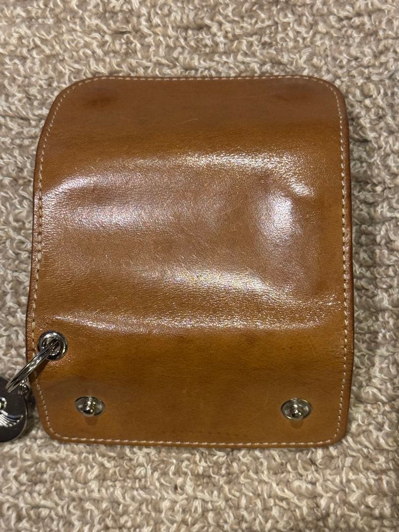 てとら　限定 WILDSWANS ワイルドスワンズ バスタン クリッパー